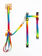 Комплект для кошек «Радуга», ОШ 16.5-27, ОГ 21-35 см, ширина 1 см, поводок 120 см  (артикул 7024533)  большой выбор товаров оптом и в розницу по низким ценам с доставкой