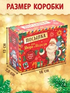 Подарочный набор на новый год «Посылка от Деда Мороза», книги, игрушка и пазл МИКС - Фото 3