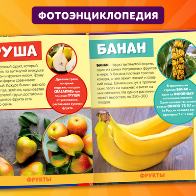 Фото - энциклопедия для детей «Мир вокруг нас», 48 стр.