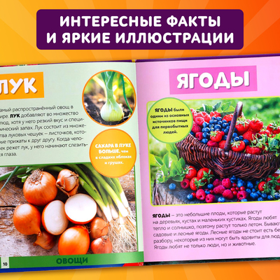 Фото - энциклопедия для детей «Мир вокруг нас», 48 стр.