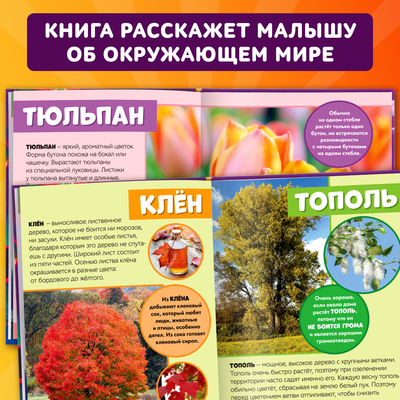 Фото - энциклопедия для детей «Мир вокруг нас», 48 стр.