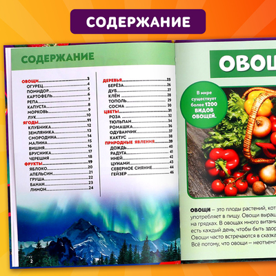 Фото - энциклопедия для детей «Мир вокруг нас», 48 стр.