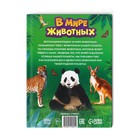 Фотоэнциклопедия для детей «В мире животных», 48 стр. - Фото 8
