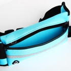 Сумка для бега на пояс, со светоотражающими элементами, с отверстием для наушников, с креплением для бутылки, 24×1×10 см, голубая - Фото 4