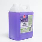 Универсальное средство для мытья всех типов полов и поверхностей Frau Gretta "Лаванда" 4,8 л - Фото 1