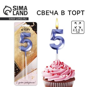 {{productViewItem.photos[photoViewList.activeNavIndex].Alt || productViewItem.photos[photoViewList.activeNavIndex].Description || 'Свеча для торта, цифра «5», 11,5 х 2,3 см'}}