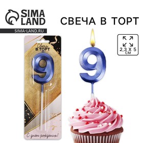 {{productViewItem.photos[photoViewList.activeNavIndex].Alt || productViewItem.photos[photoViewList.activeNavIndex].Description || 'Свеча для торта, цифра «9», 11,5 х 2,3 см'}}