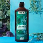 Шампунь для волос с экстрактом крапивы, 500 мл, КЛАДОВАЯ КРАСОТЫ - Фото 1