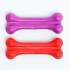 Набор игрушек для собак Gamma  "Кость литая №2", каучук, 2 шт по 9,5 см, микс цветов - фото 318678172