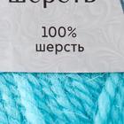 Пряжа "Аргентинская шерсть" 100% импортная п/т шерсть 200м/100гр (023 бир.св) - Фото 4