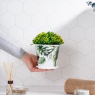 Горшок для цветов Доляна «Кариота», 800 мл, цвет белый - Фото 5