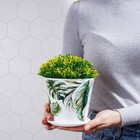 Горшок для цветов Доляна «Кариота», 800 мл, цвет белый - Фото 6