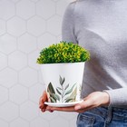 Горшок для цветов Доляна «Тропический лес», 800 мл, цвет белый - Фото 6