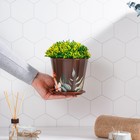 Горшок для цветов Доляна «Тропический лес», 800 мл, цвет коричневый - Фото 5