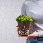 Горшок для цветов Доляна «Тропический лес», 800 мл, цвет коричневый - Фото 6