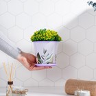 Горшок для цветов Доляна «Тропический лес», 800 мл, цвет лиловый - Фото 5