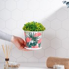 Горшок для цветов Доляна «Антуриум», 800 мл, цвет белый - фото 804625918