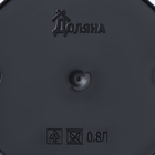 Горшок для цветов Доляна «Голди», 800 мл, цвет чёрный - Фото 4