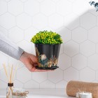 Горшок для цветов Доляна «Голди», 800 мл, цвет чёрный - Фото 9