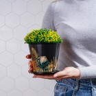 Горшок для цветов Доляна «Голди», 800 мл, цвет чёрный - Фото 10