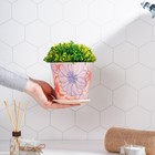 Горшок для цветов Доляна «Жарден», 800 мл, цвет бежевый - фото 804625928