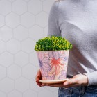 Горшок для цветов Доляна «Жарден», 800 мл, цвет бежевый - фото 804625929