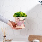 Горшок для цветов Доляна «Фрезия», 800 мл, цвет бежевый - Фото 5