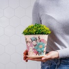 Горшок для цветов Доляна «Фрезия», 800 мл, цвет бежевый - Фото 6