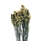 Сухоцвет «Статица» 100 г, цвет жёлтый - фото 39052942