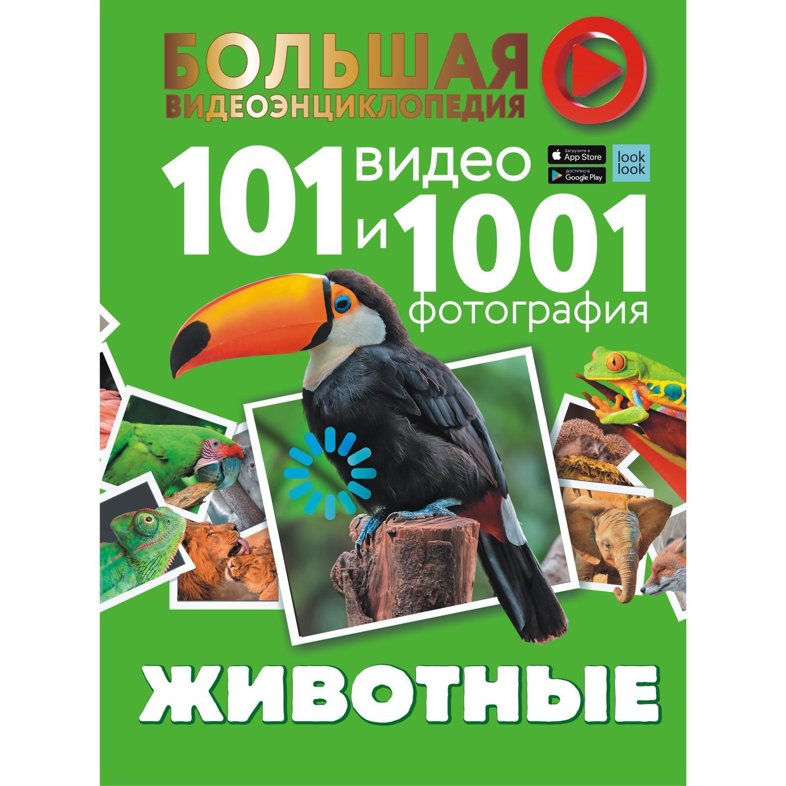 Животные. 101 видео и 1001 фотография. Вайткене Л.Д., Хомич Е.О. (7480214)  - Купить по цене от 983.00 руб. | Интернет магазин SIMA-LAND.RU