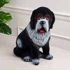 Копилка "Собака Бетховен", флок, чёрный цвет, 34 см - Фото 1