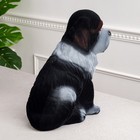 Копилка "Собака Бетховен", флок, чёрный цвет, 34 см - Фото 2
