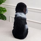 Копилка "Собака Бетховен", флок, чёрный цвет, 34 см - Фото 3