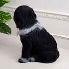 Копилка "Собака Бетховен", флок, чёрный цвет, 34 см - Фото 4