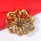 Брошь «Императрица» вспышка, цвет красный в чернёном золоте - Фото 2