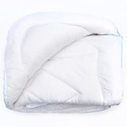 Одеяло Лебяжий пух 172х205см, вес 2,2кг, микрофибра - Фото 1