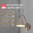 Белый