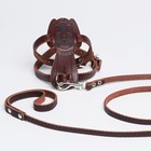 Комплект амуниции «Собака», коричневый (шлейка 32-41х1.2 см, поводок 130х0.8 см) - Фото 3
