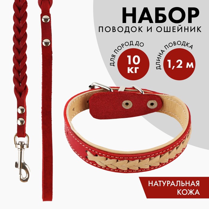 Комплект ошейник (34-45х2 см) и поводок (120х0.8 см) с косой, красный с бежевым