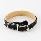 Комплект ошейник (34-45х2 см) и поводок (120х0.8 см) с косой, чёрный с бежевым - фото 25777285