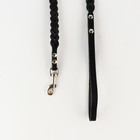 Комплект ошейник (34-45х2 см) и поводок (120х0.8 см) с косой, чёрный с бежевым - фото 25777286