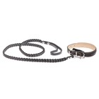 Комплект ошейник (34-45х2 см) и поводок (120х0.8 см) с косой, чёрный с бежевым - фото 25777289