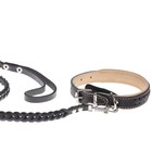 Комплект ошейник (34-45х2 см) и поводок (120х0.8 см) с косой, чёрный с бежевым - фото 25777290