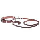 Комплект ошейник (40-54х2.5 см) и поводок (130х1.2 см) рептилия, коричневый - фото 21387919