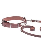 Комплект ошейник (40-54х2.5 см) и поводок (130х1.2 см) рептилия, коричневый - фото 21387920
