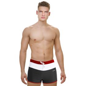Плавки-шорты для бассейна Atemi TSAE1C, цвет серый/красный, размер 54