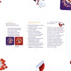 Новогодняя настольная игра «Новый год: Окавока. Компакт», 120 карт, 7+ - фото 9576523