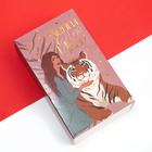 Набор женских новогодних носков KAFTAN "Тигр" р. 36-39 (23-25 см), 2 пары - фото 35185496