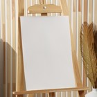 Бумага для акварели А3, 10 л., 200 г/м2 «Девушка с жемчужной серёжкой» - Фото 2