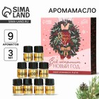 Аромамасла новогодние «Время чудес», на Новый год, набор 9 шт, 3 мл - Фото 1